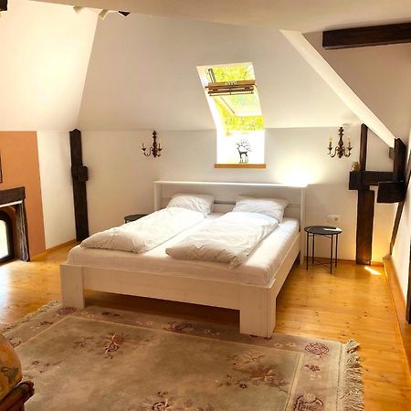 Rose'S Oldtown Apartment 布拉索夫 外观 照片