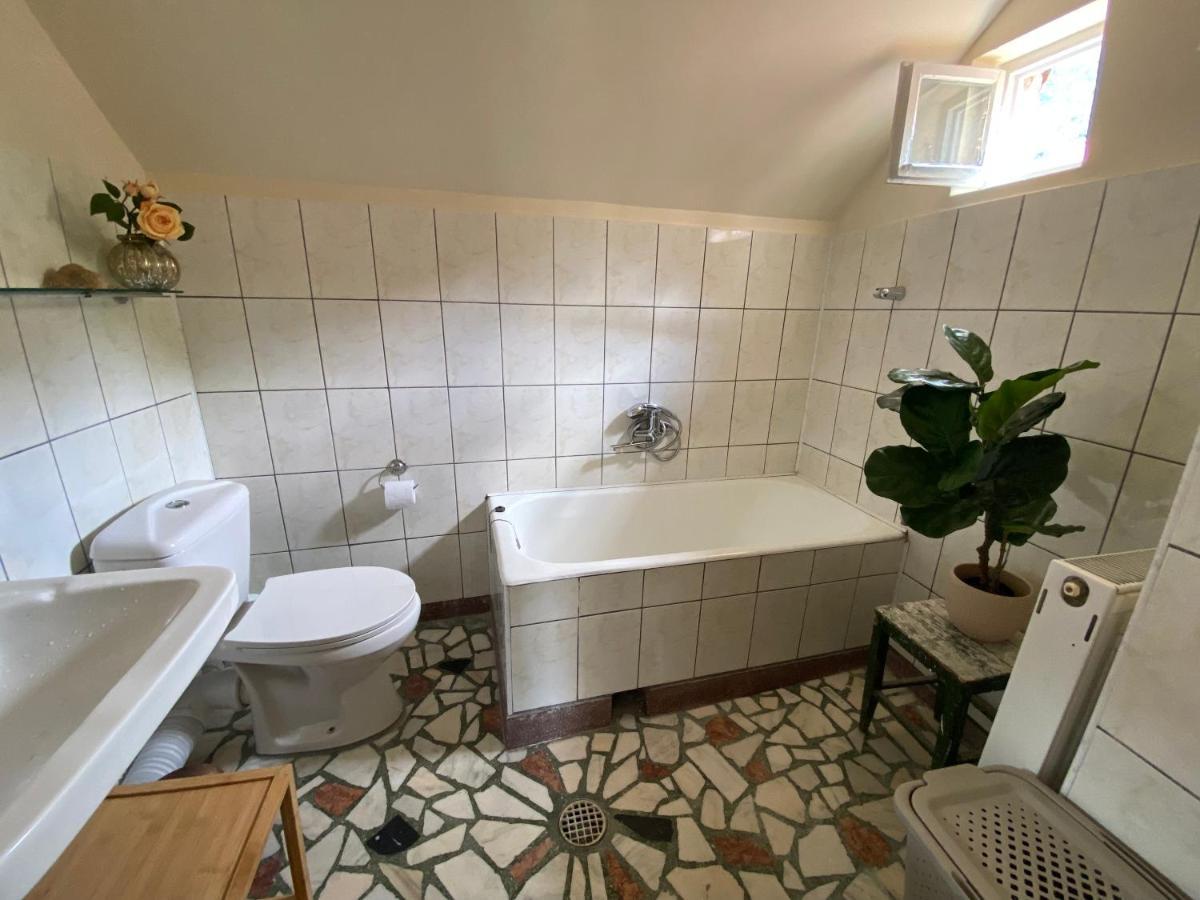 Rose'S Oldtown Apartment 布拉索夫 外观 照片