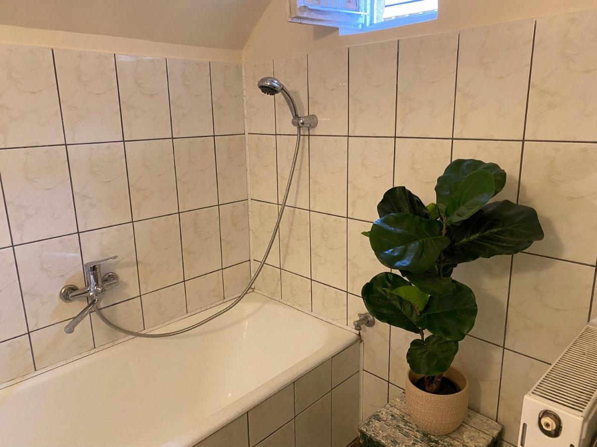Rose'S Oldtown Apartment 布拉索夫 外观 照片