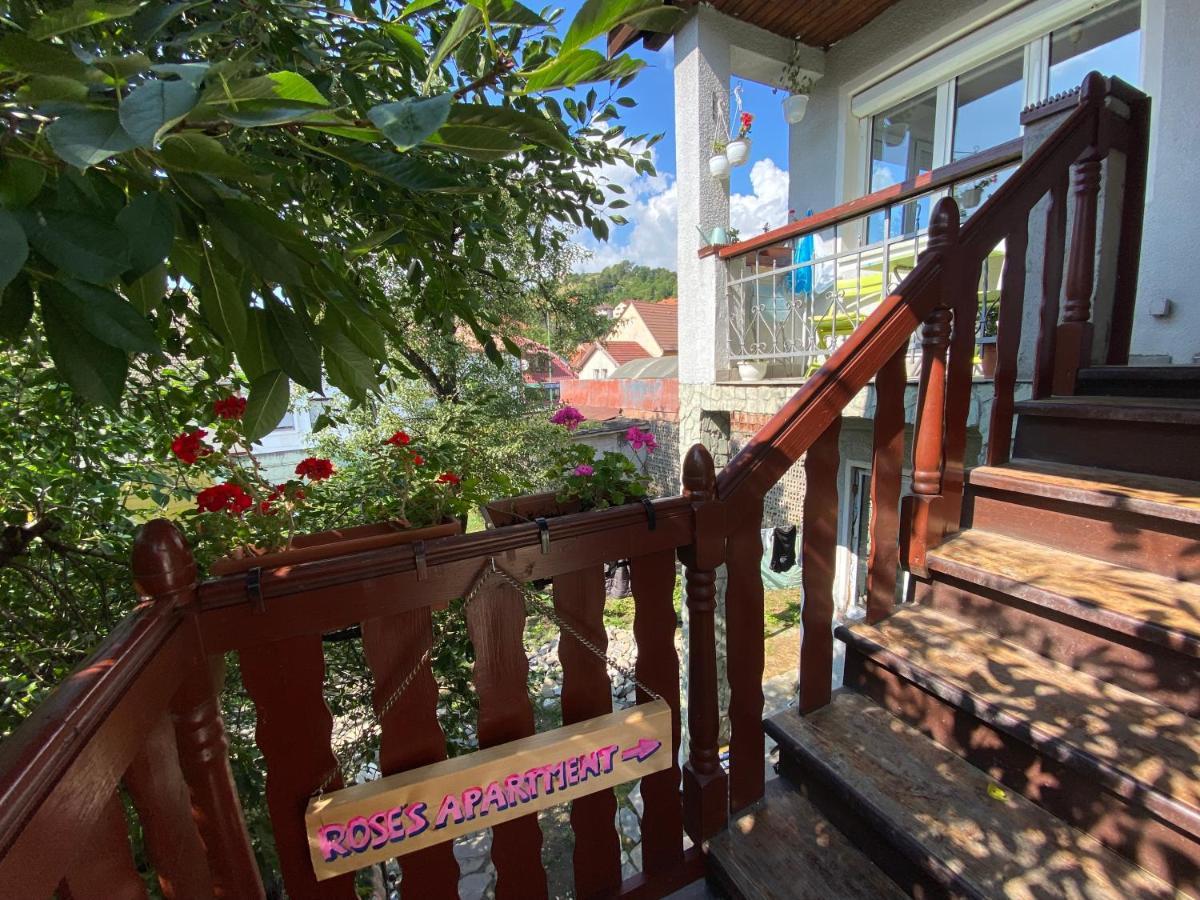 Rose'S Oldtown Apartment 布拉索夫 外观 照片