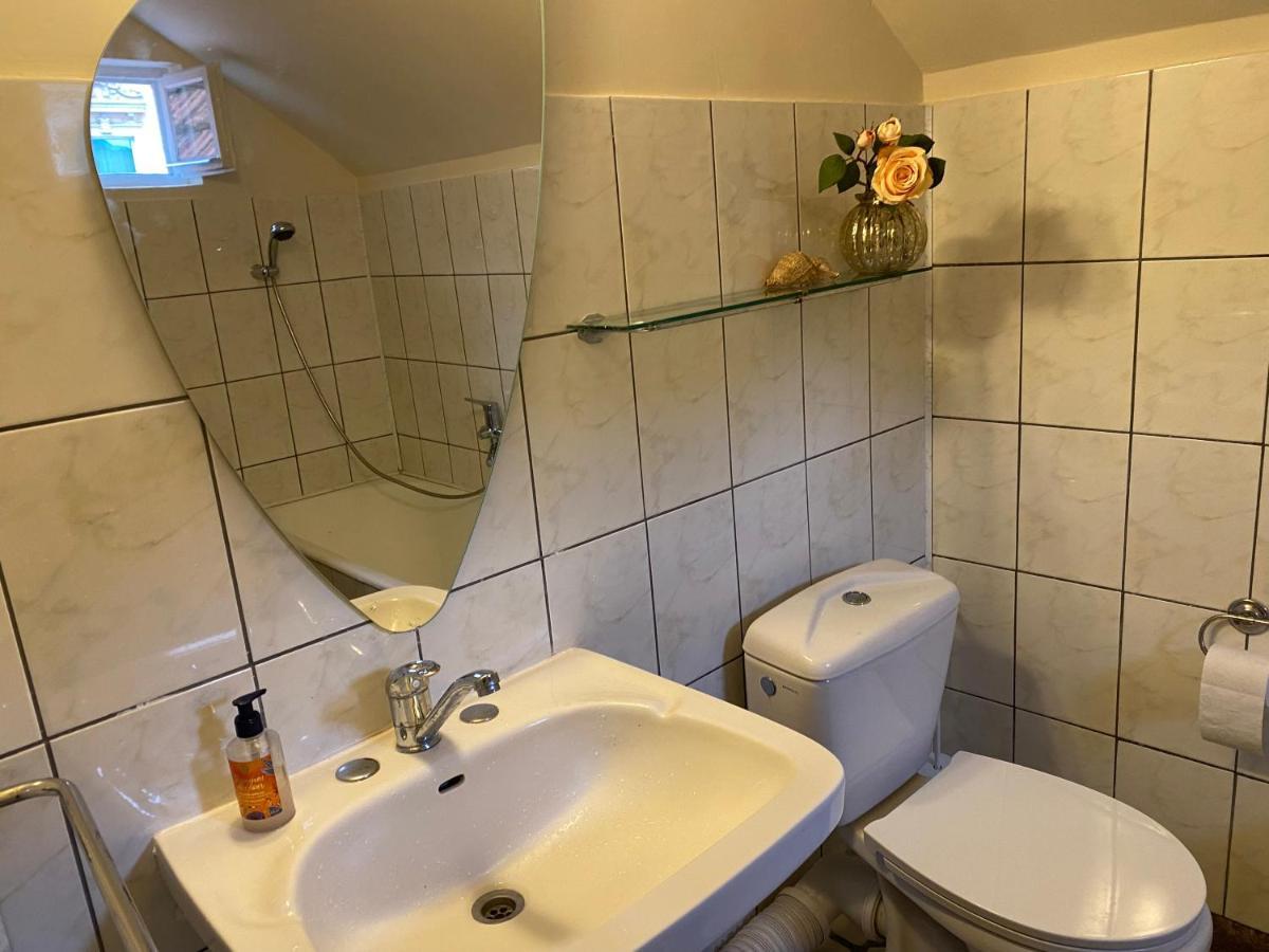 Rose'S Oldtown Apartment 布拉索夫 外观 照片