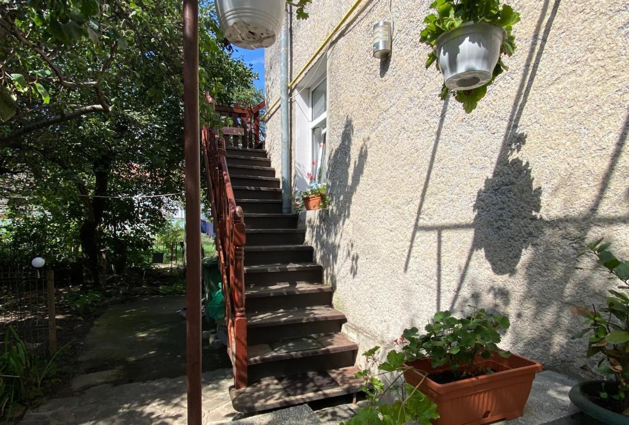 Rose'S Oldtown Apartment 布拉索夫 外观 照片