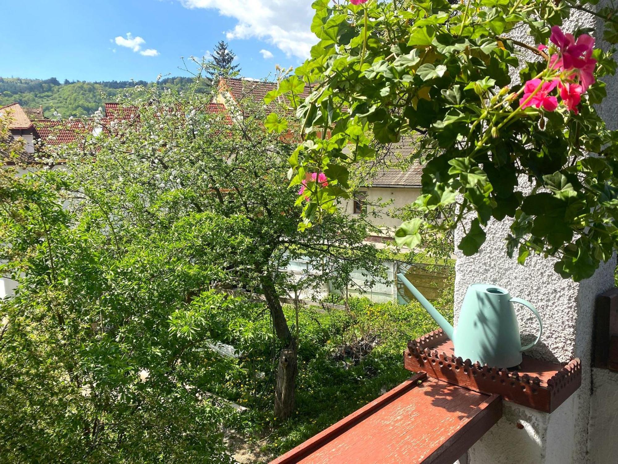 Rose'S Oldtown Apartment 布拉索夫 外观 照片