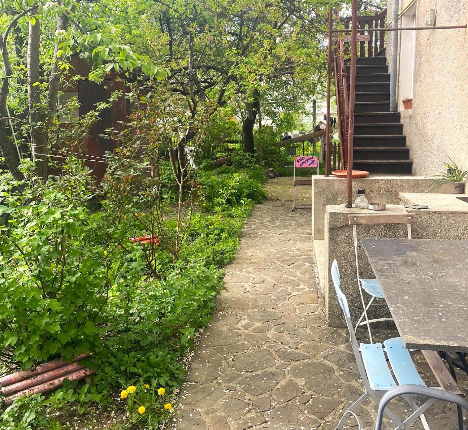 Rose'S Oldtown Apartment 布拉索夫 外观 照片