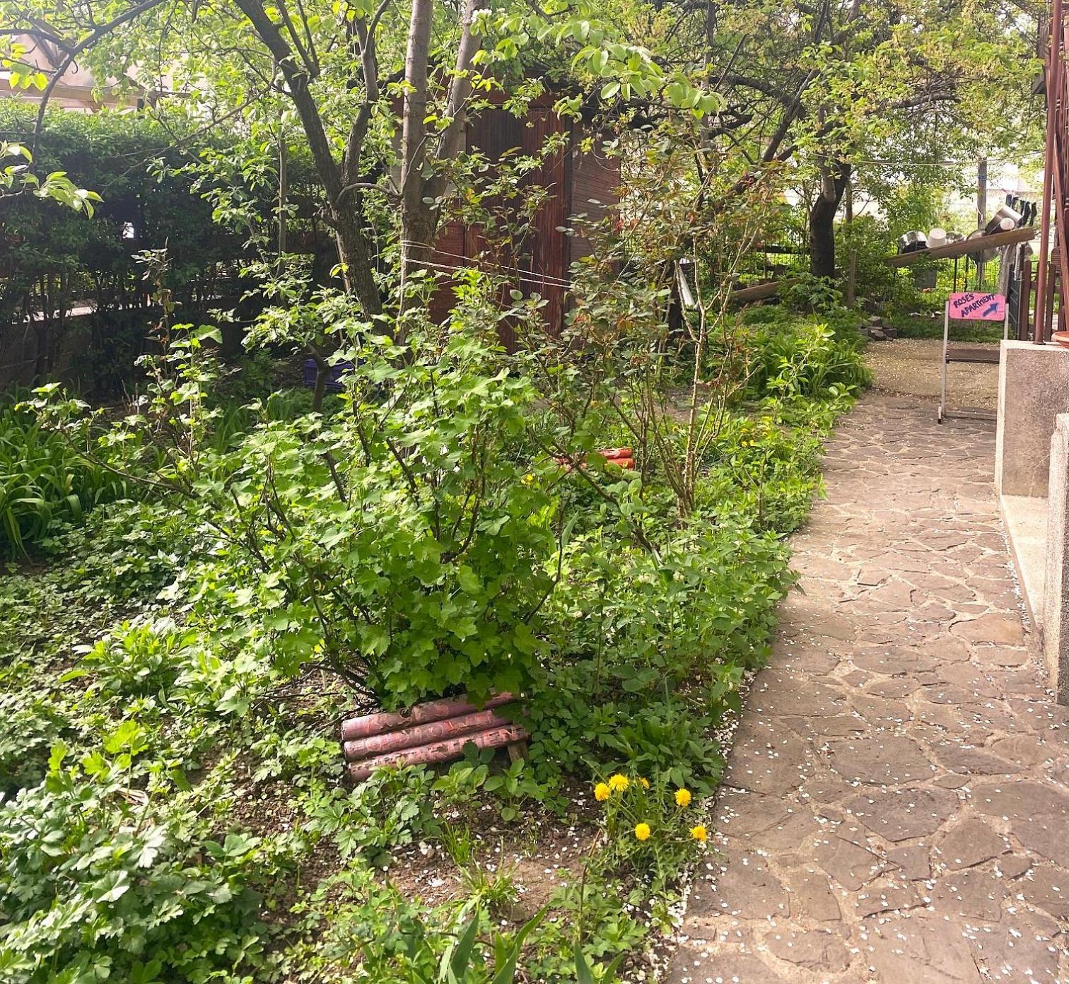 Rose'S Oldtown Apartment 布拉索夫 外观 照片