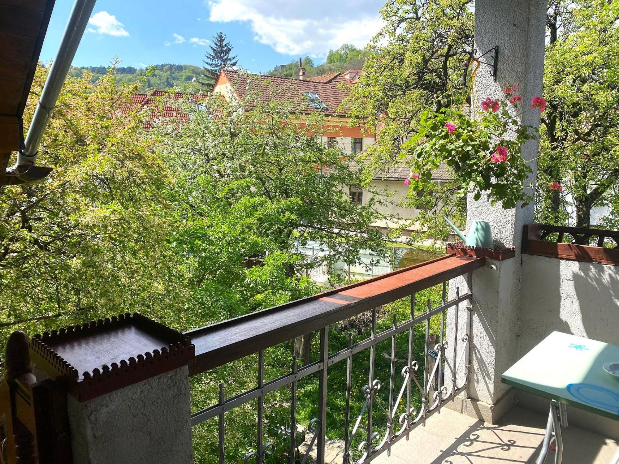 Rose'S Oldtown Apartment 布拉索夫 外观 照片