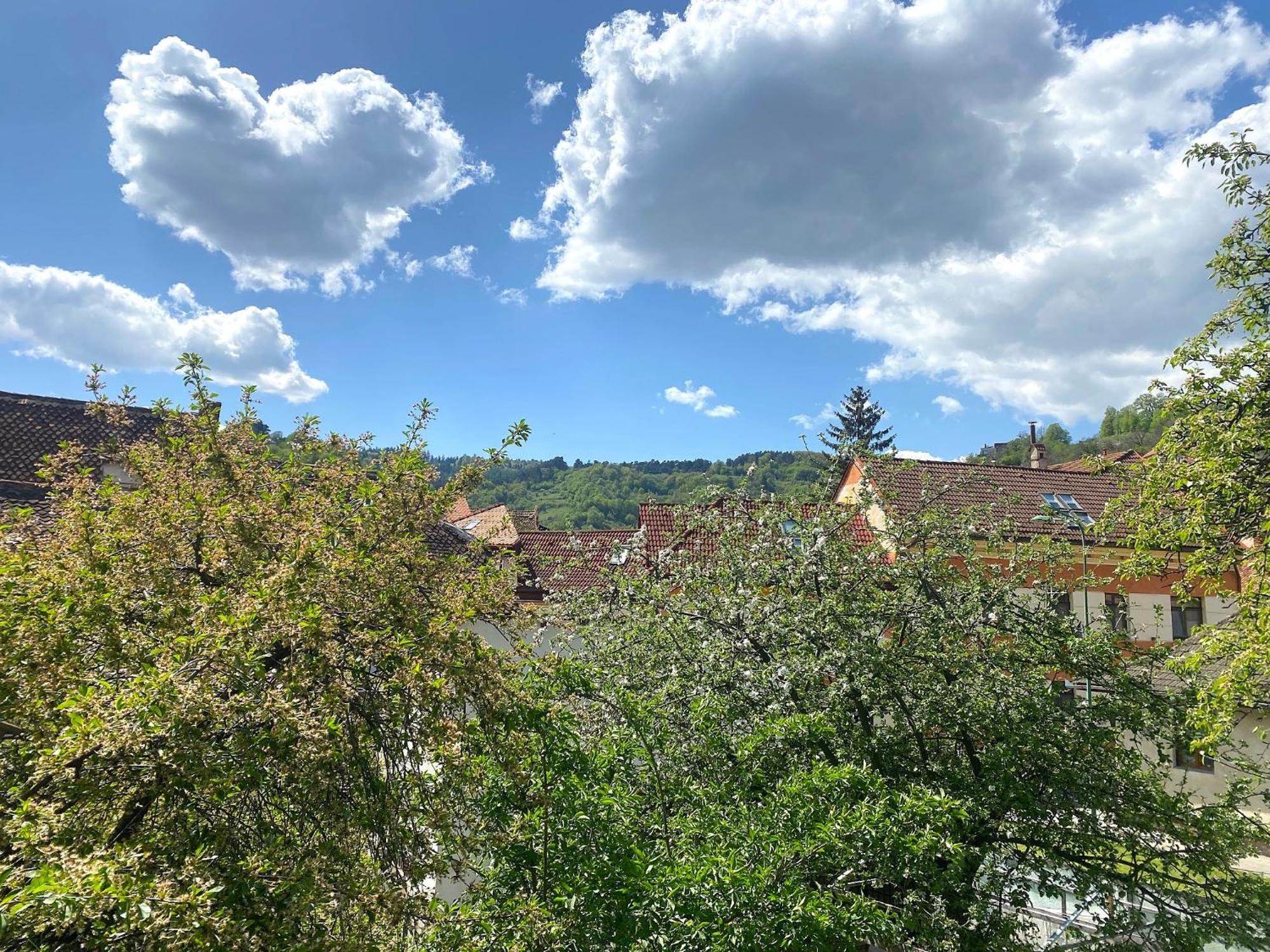 Rose'S Oldtown Apartment 布拉索夫 外观 照片